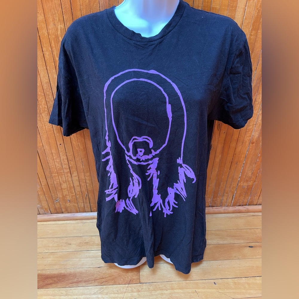 Steve Aoki Band Tee Stylish Black Tee with Purple Graphic